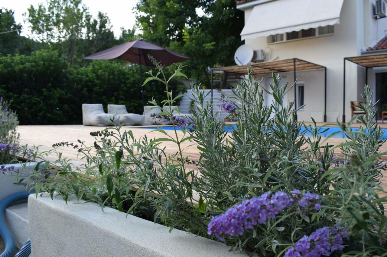 Serenity Luxury Villa, Skiathos Agia Paraskevi  Exteriör bild