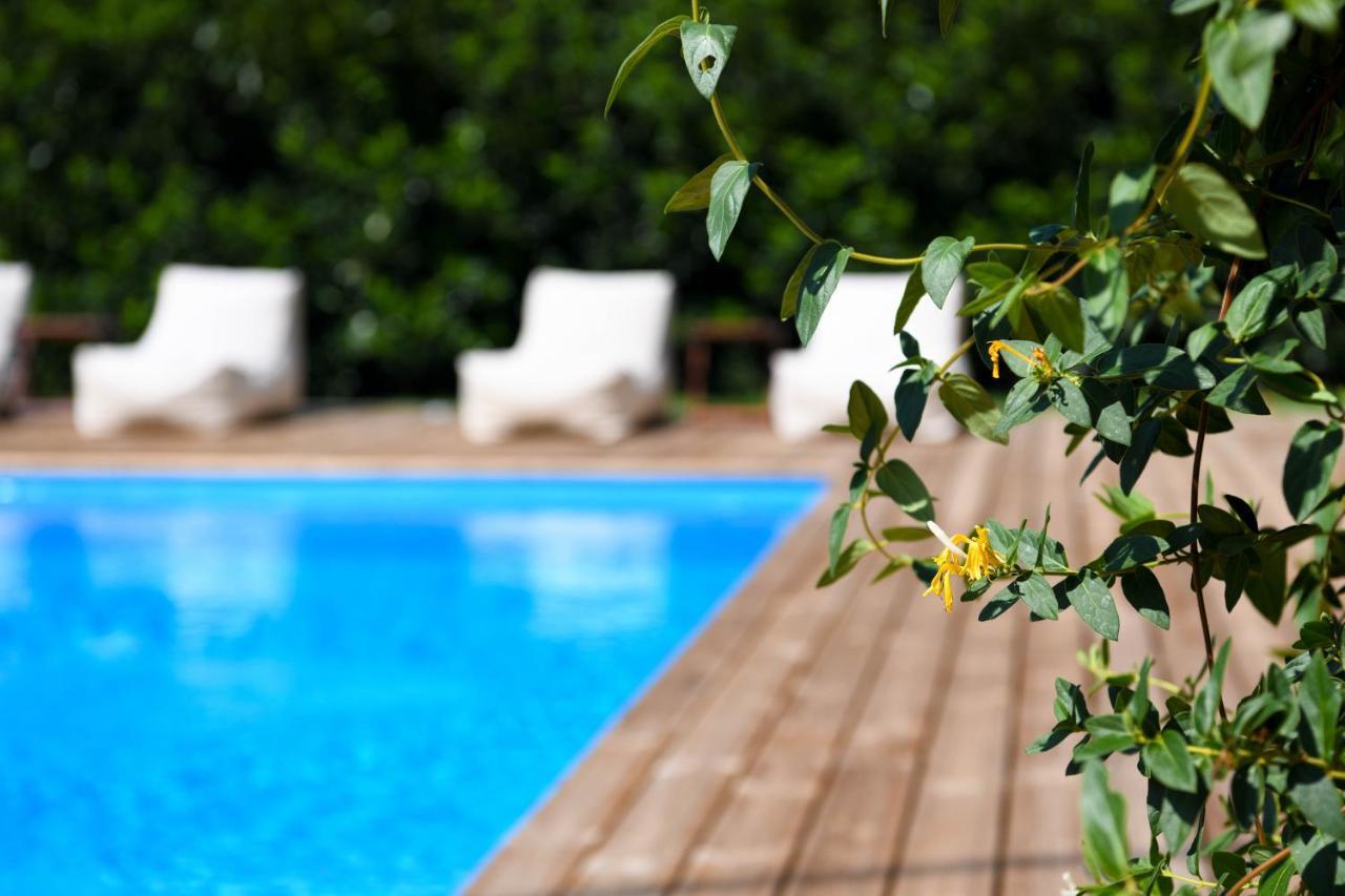 Serenity Luxury Villa, Skiathos Agia Paraskevi  Exteriör bild